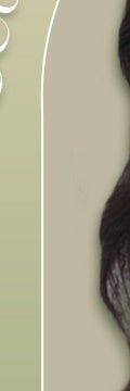 반포동피부과에서 흔적 걱정 없이, 피부에 맞는 흉터 치료 사진 19