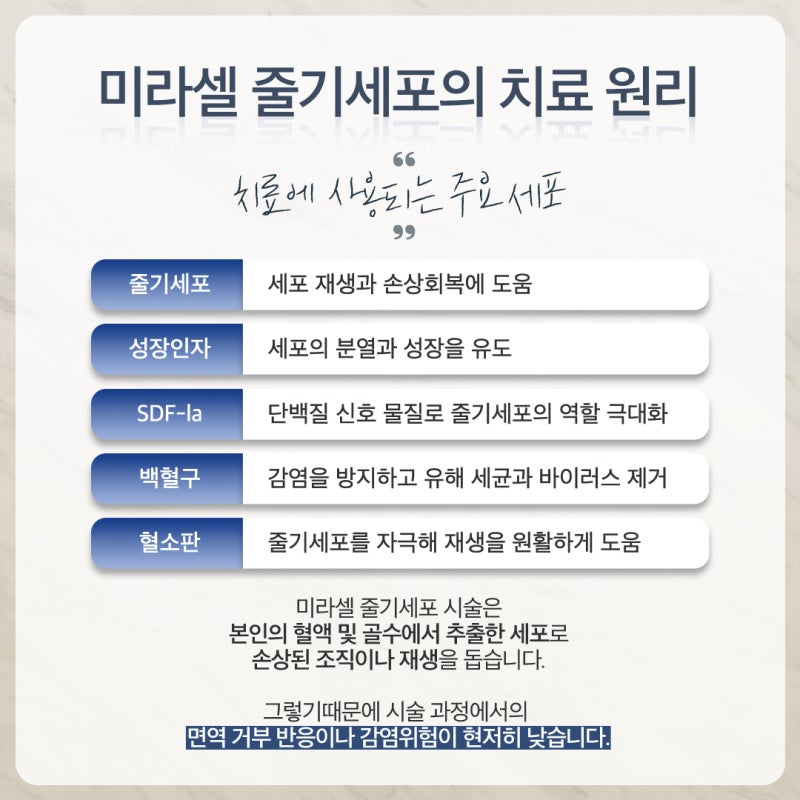방배줄기세포, 겉이 아닌 세포 속에서 일어나는 변화 사진 4