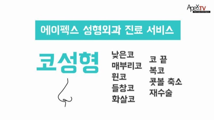 에이펙스 성형외과 진료서비스 안내