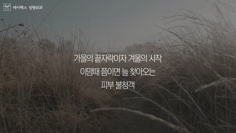 ☆에이펙스성형외과 리쥬란힐러☆ 건조한 겨울철 촉촉한 극강 보습이 필요할때