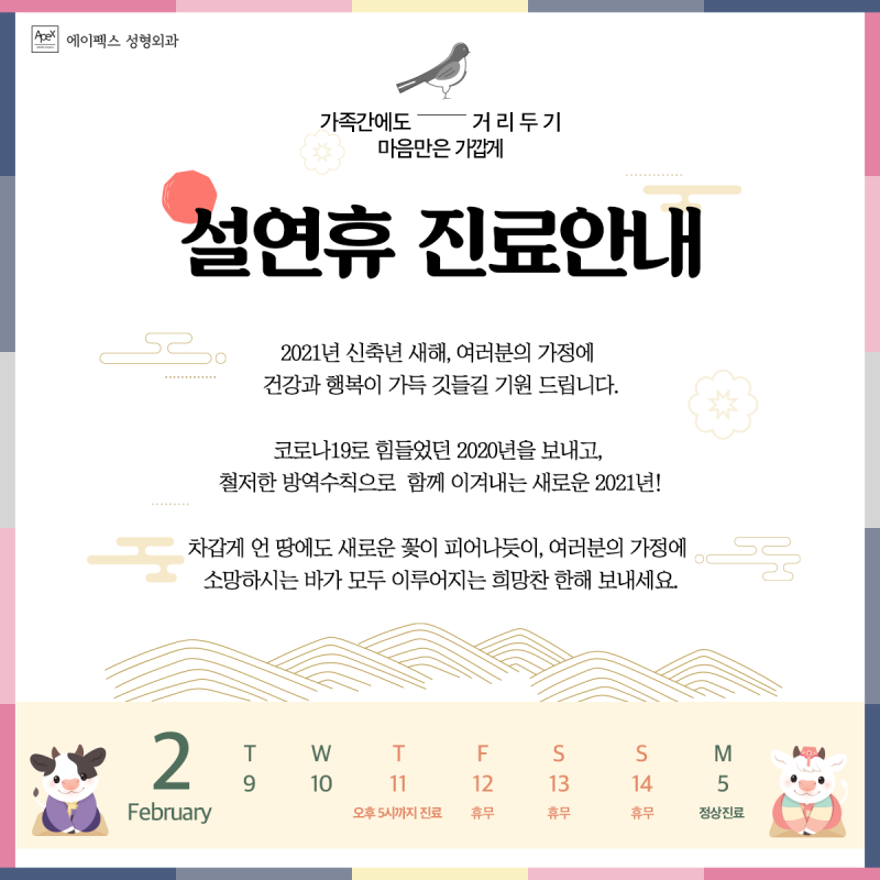 에이펙스성형외과 2021 설연휴 진료 안내