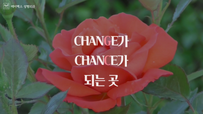 ☆봄에 예뻐져 봄☆ 봄성형 추천, 에이펙스성형외과