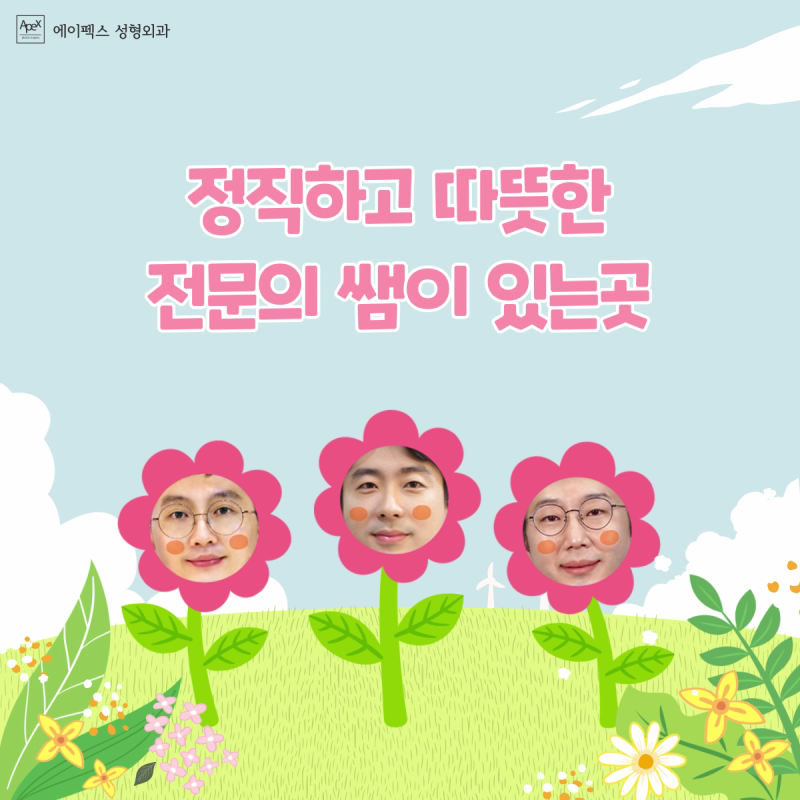 예뻐지고 싶다면, 역삼역성형외과 추천 ☆에이펙스성형외과☆