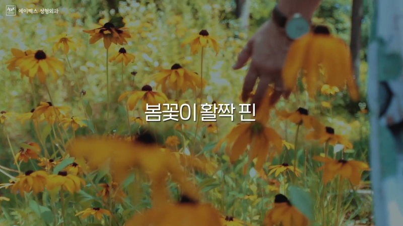 ☆5월의 소원 메이퀸☆ 에이펙스성형외과에서 나의 외모 자신감을 높이자!