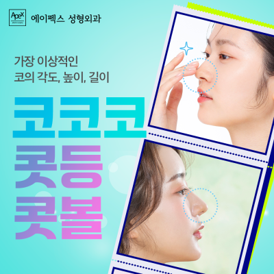 "에이펙스성형외과" 눈/코/리프팅성형으로 자신감을 세우자!