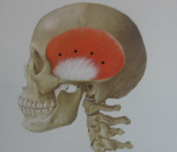 Klinik Gigi Stasiun Yaksu, Penyakit Terkait Sendi Temporomandibular (Perawatan Botox) 사진 5