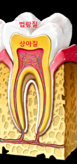 Yaksu Station Dental Clinic: Can a single visit for teeth whitening be effective? (feat. One-Day Whitening)