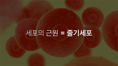 압구정 줄기세포 주사 스킨부스터 하나씩 찾기 전 피부 재생을 살펴보는 이유 사진 3