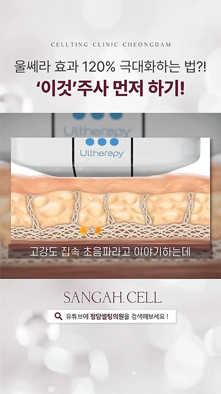 청담동 울쎄라 원리·효과·깊이 차이점 총 정리 사진 4