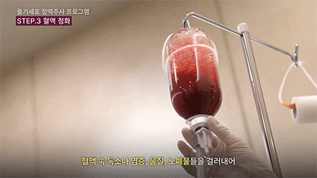 강남역 피부과 줄기세포 효과와 정맥 작용 과정 사진 6