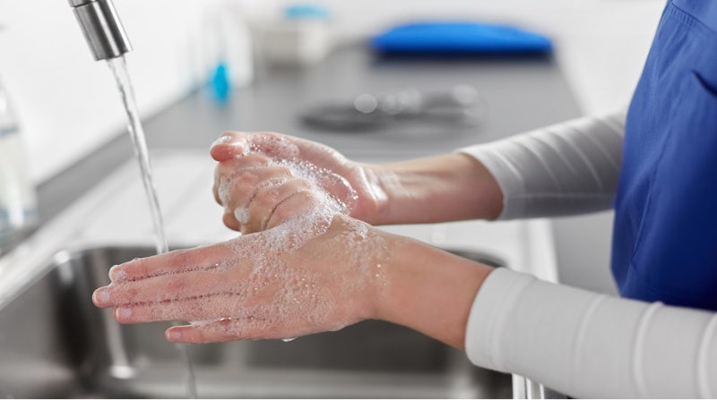 Just One Bite? Foods Norovirus Loves