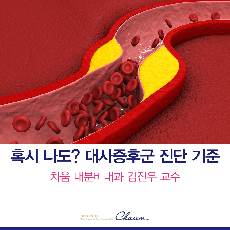 대사증후군 진단 기준 5가지 총정리