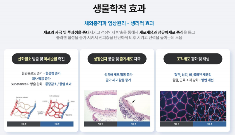 레비나스의 모든 것 (feat. 빠샤리프팅) 사진 15