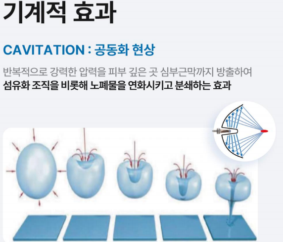 레비나스의 모든 것 (feat. 빠샤리프팅) 사진 7