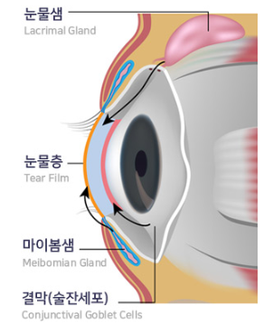 눈마사지 매일하면 눈 건강 '이것'에 좋다?