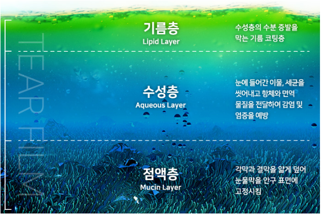 안구건조증시술 눈 뻑뻑하다면 방치하지 마세요!