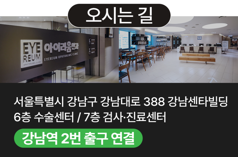 아이리움안과 강성용 원장, 스마일·스마트노바 시력교정술 중심 보정 전략 2026 ARVO 발표 사진 8
