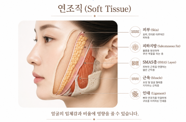 연조직윤곽술이란? 얼굴이 커 보이는 이유, 꼭 뼈 때문만은 아닙니다