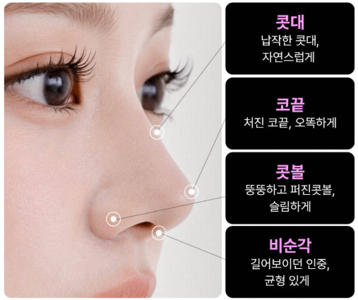 수술이 아닌 시술 만으로도 코라인 개선과 복코 교정이 동시에 가능할까요?