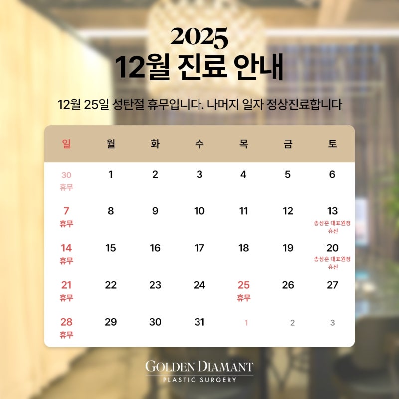 [공지] 12월 진료 일정 안내