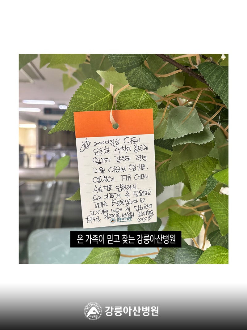 강릉아산병원 개원 30주년 메시지나무를 함께 채워주세요. 사진 4