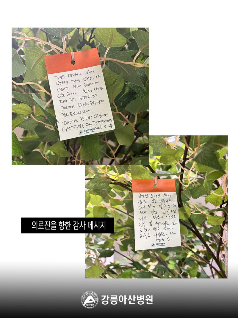 강릉아산병원 개원 30주년 메시지나무를 함께 채워주세요. 사진 5