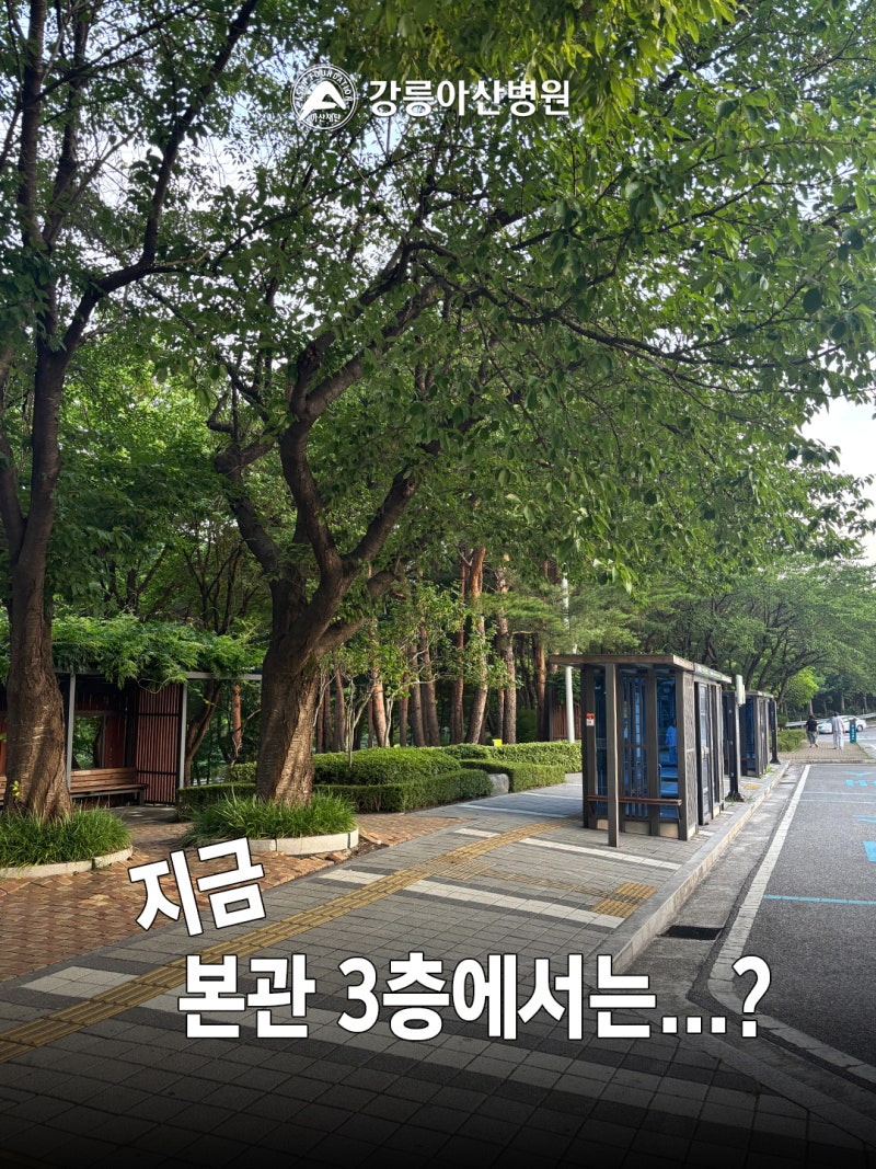 강릉아산병원 개원  30주년 메시지나무를 함께 채워주세요.