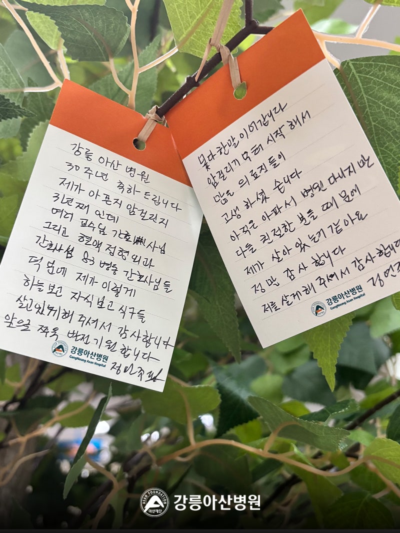 강릉아산병원 개원 30주년 메시지나무를 함께 채워주세요. 사진 6