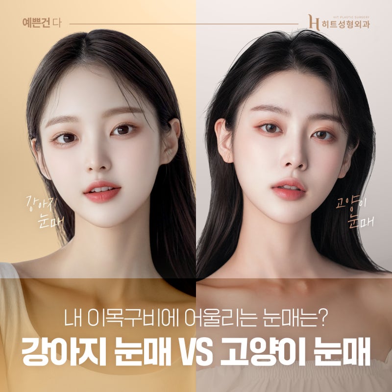[히트성형외과] 강아지 눈매 VS 고양이 눈매 원하는 느낌에 따라!