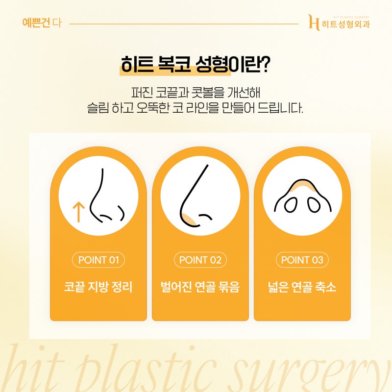 [히트성형외과] 내 코는 어떤 유형일까? 사진 3