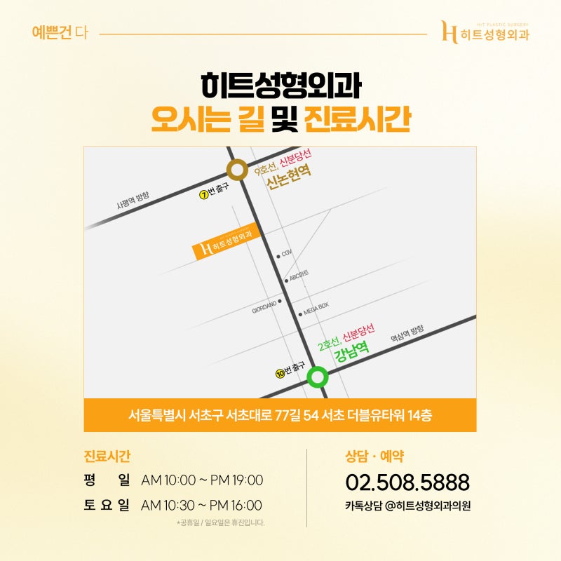 [히트성형외과] 내 코는 어떤 유형일까? 사진 7