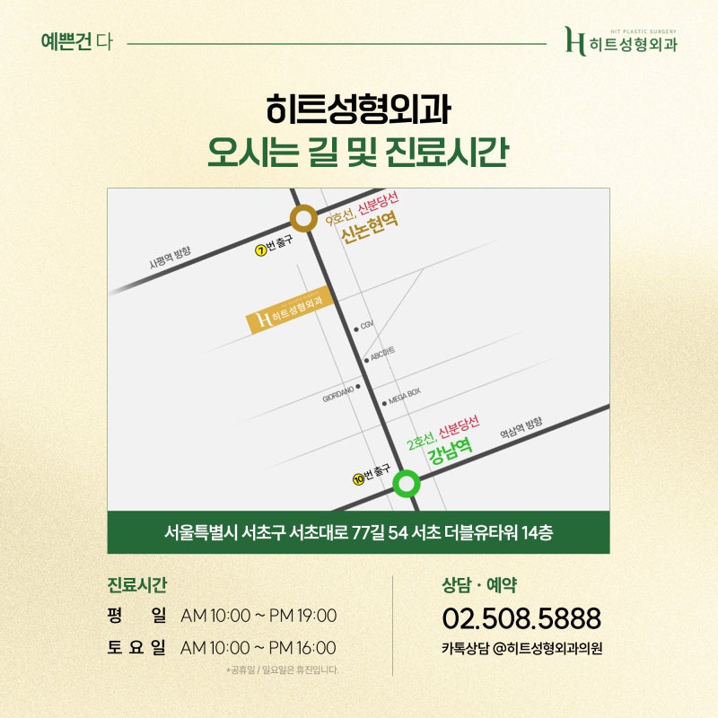 [히트성형외과] 보형물 없이도 가능한 코끝 수술? 사진 7