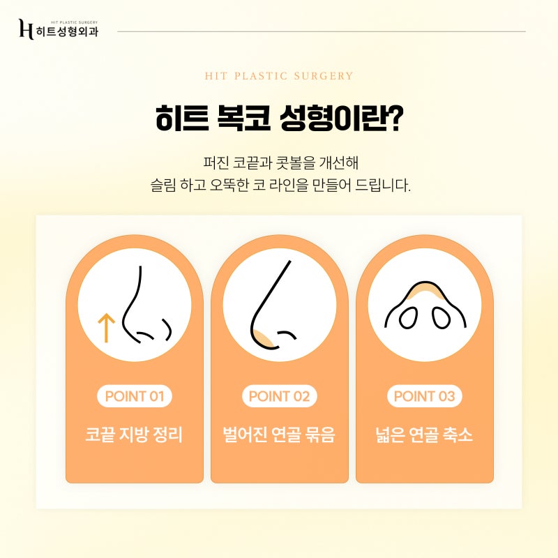 [히트성형외과] 내 얼굴에 맞는 코 유형, 어떻게 구분할까요? 사진 3
