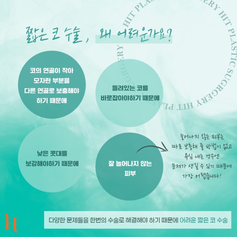 짧은코의 모든 것! [히트성형외과 짧은 코 자가진단, 특징, 수술법, 주의사항] 사진 4