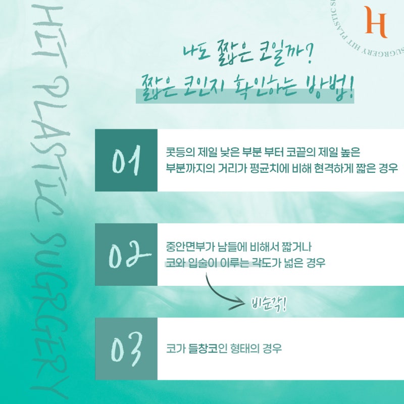 짧은코의 모든 것! [히트성형외과 짧은 코 자가진단, 특징, 수술법, 주의사항] 사진 2