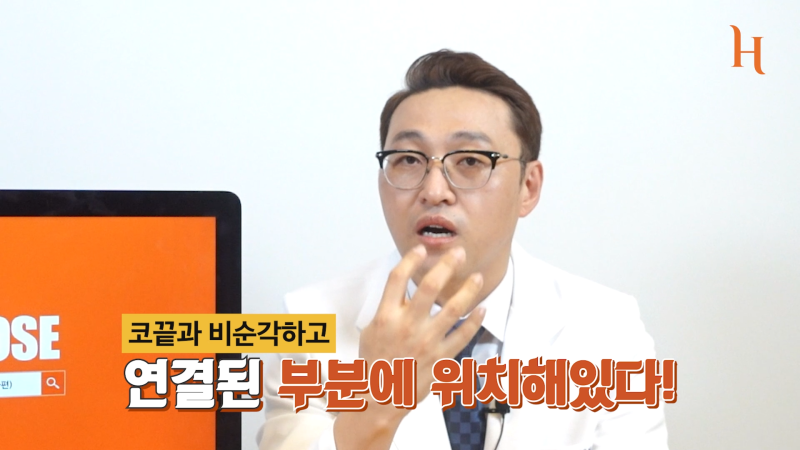 비주수술 연장방법과 모양 : 실제사례 [히트성형외과] 사진 3
