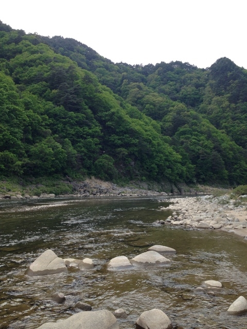 자연 biotope