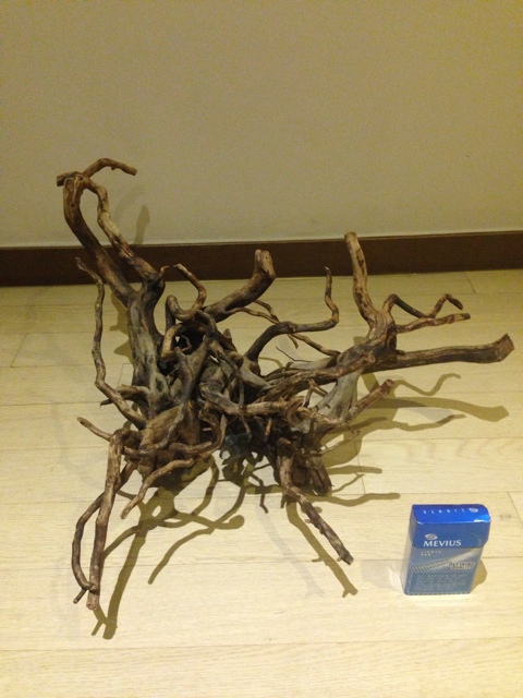 그동안 모았던 유목 중 가장 마음에 드는 두점