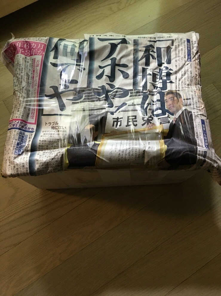 야생 아도케타 우아우 페스