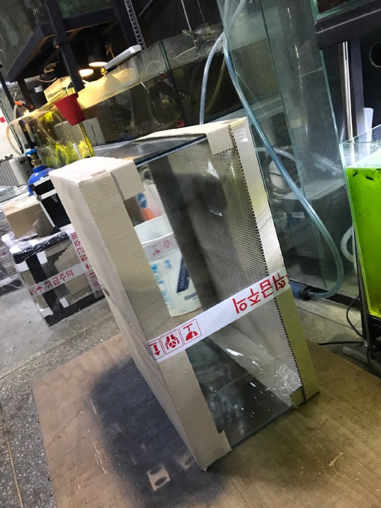 뉴 수조