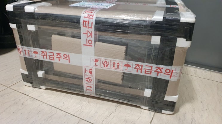 SGA 수조 입양