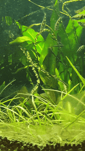 오늘의 GIF