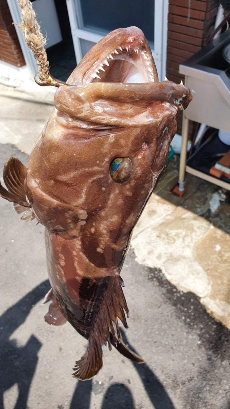 제주도 여름휴가 시작 먹방
