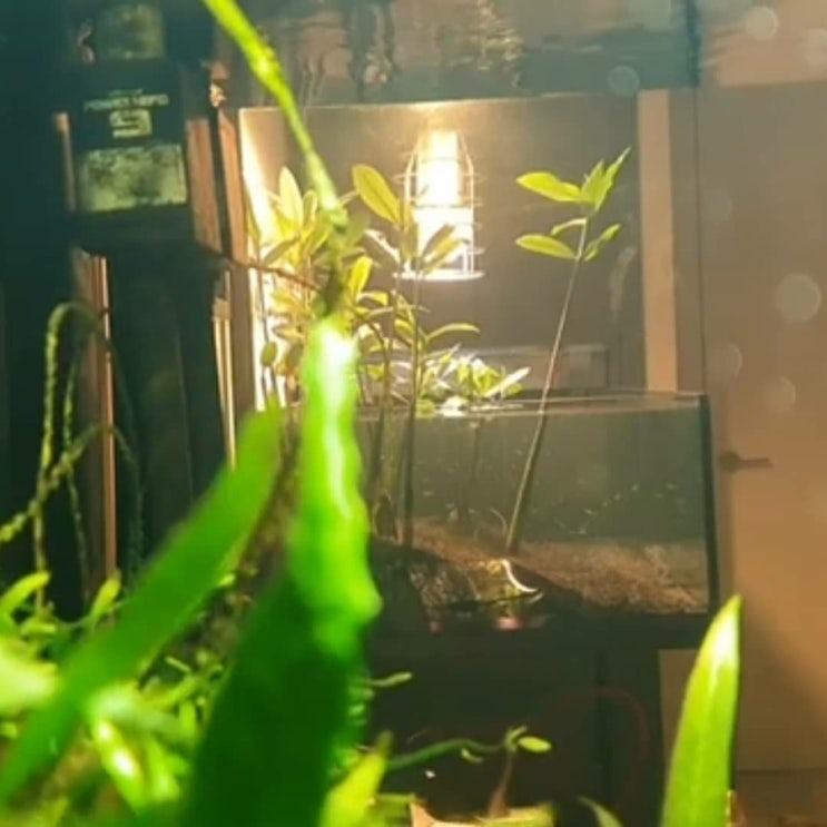 물멍