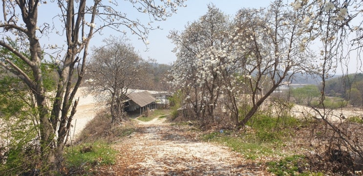 오래된 목장터에서 공간디자인 및 사업계획