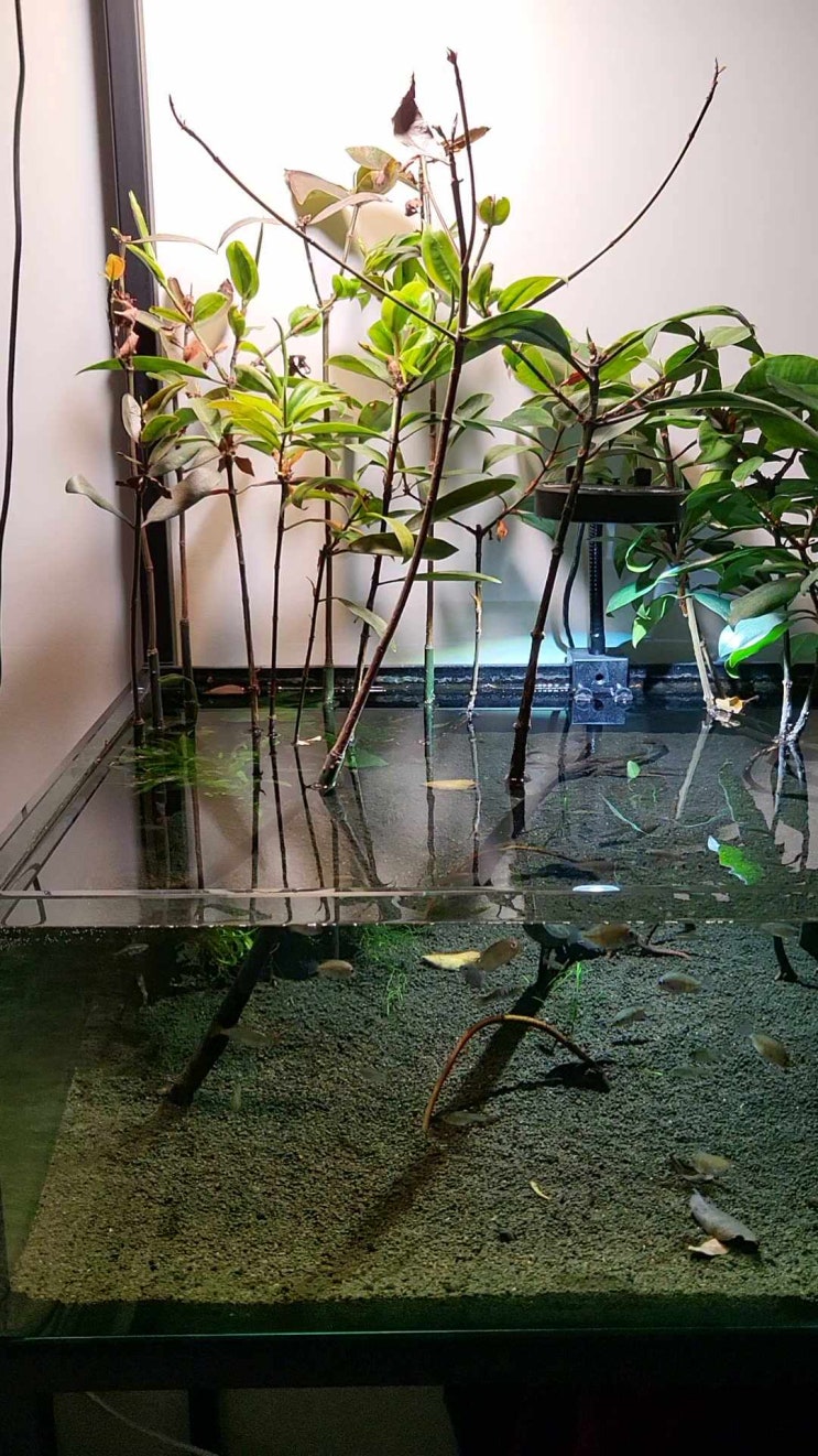 물멍