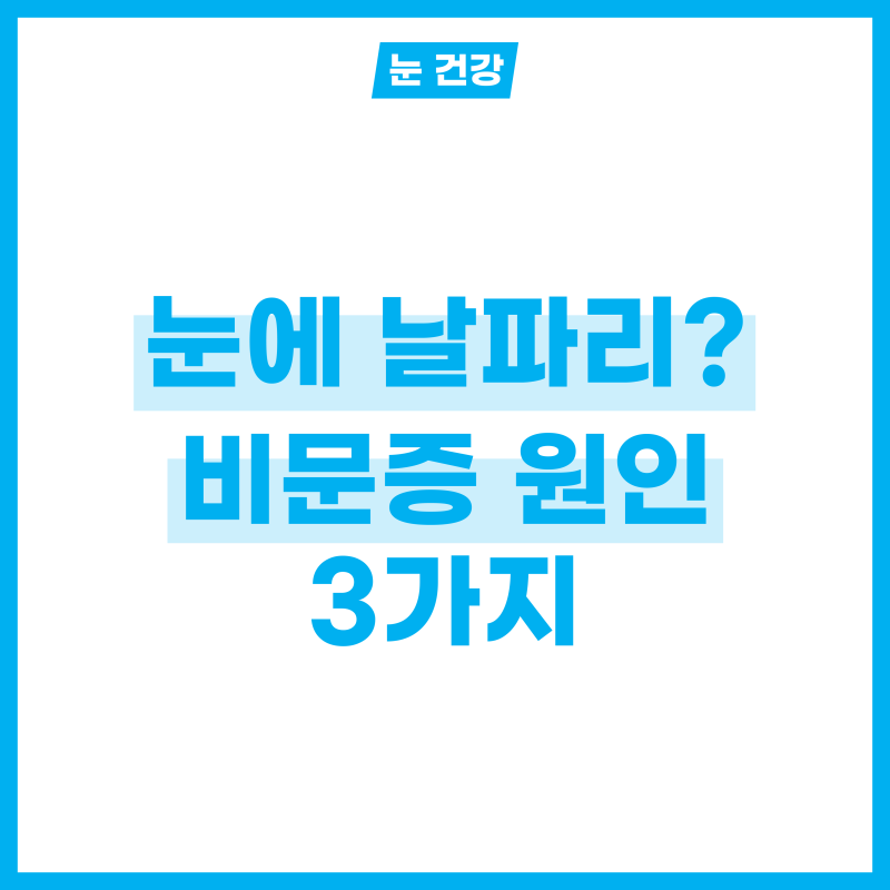 눈에 날파리가 떠다니는 비문증 원인 3가지!