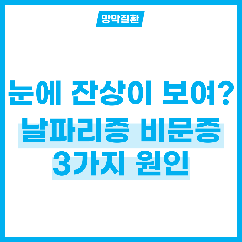 눈에 잔상이 보인다? 날파리증 비문증 원인 3가지