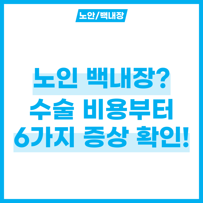 노인 백내장 수술 비용 알고 백내장 증세 6가지 확인하기