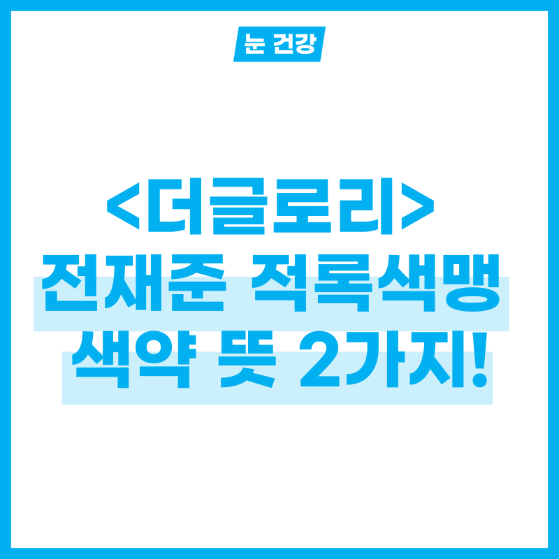 재준이의 적록색맹 색약 뜻 2가지